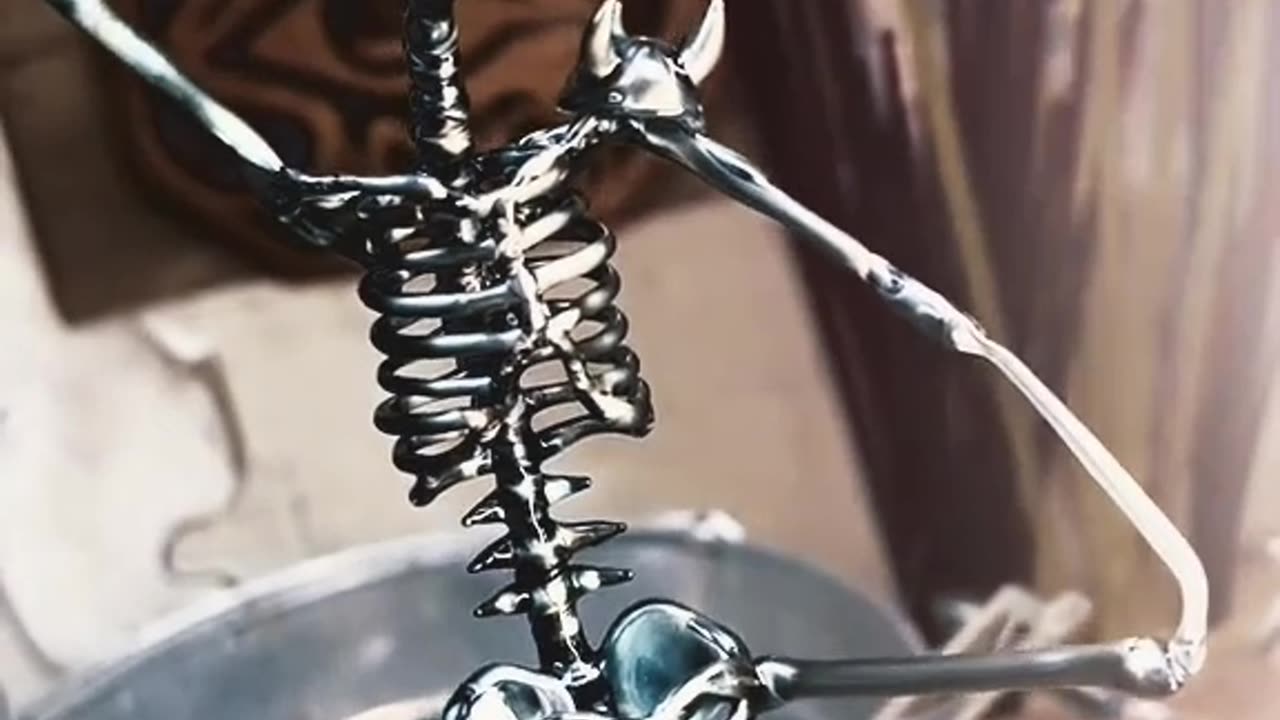 The Body