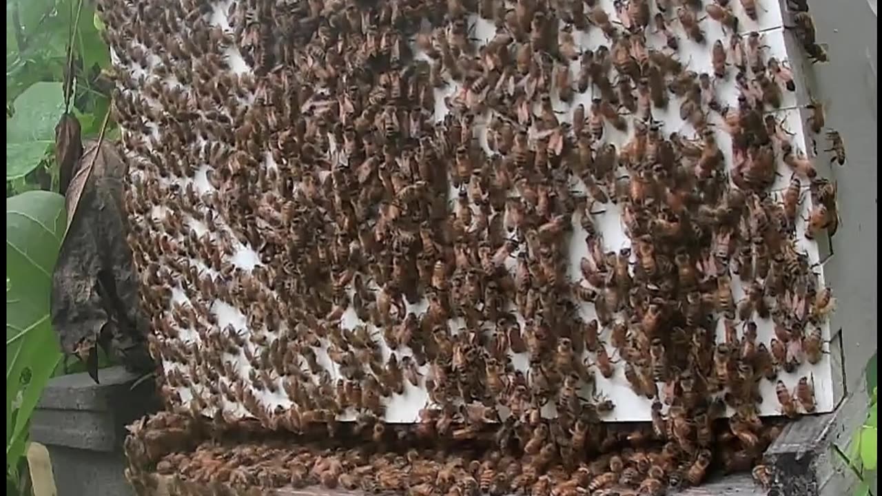 Saturday Morning Sunrise