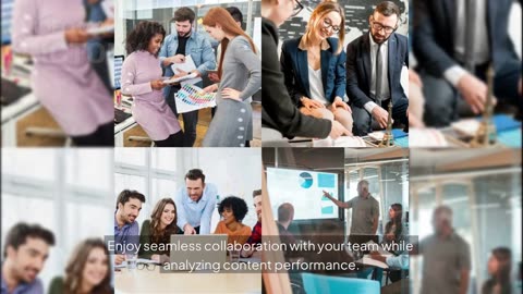 What is SocialBee? | The All-in-One Social Media Management Tool