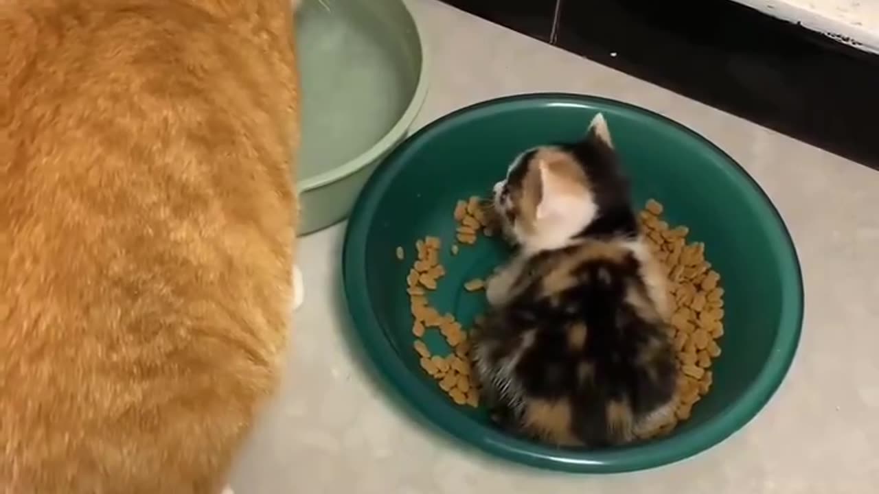 Bad and breakfast 😂
