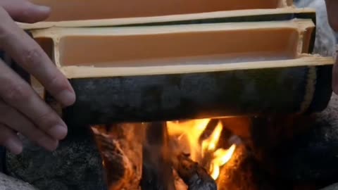 "Found Wild Mushrooms & Cooked Chicken Like Never Before! 🍄🔥 Forest Recipe Magic"