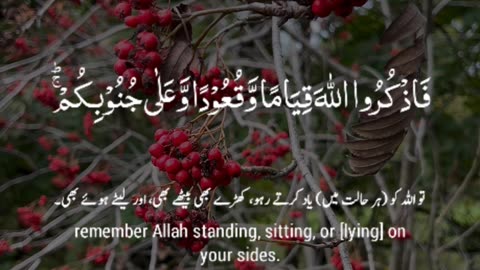 Surah An-Nisā 4:103 سورة النساء ⚡🌙🕋 #Quran #shorts #viral #Salah #IslamicReminder