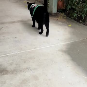 Not everyone is excited about heading into Christmas