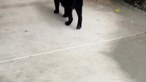 Not everyone is excited about heading into Christmas