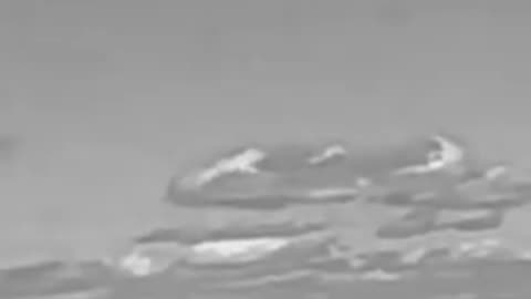 British Man Playing Fetch With His Dog Records UFO