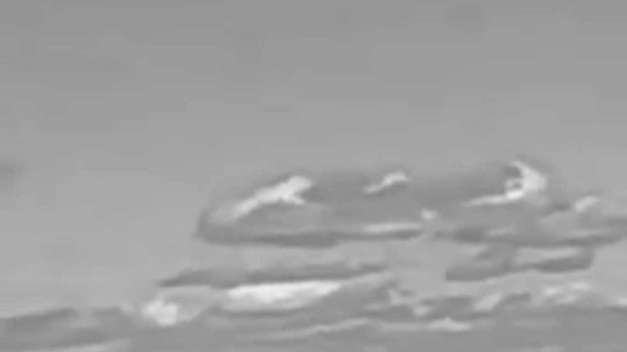 British Man Playing Fetch With His Dog Records UFO