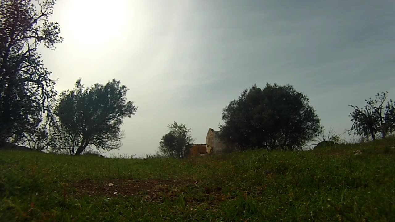 Patty Ferariu - 58 De Trepte (fragment)