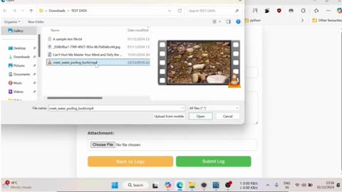 Student Work(Java) | 24F_CST8288N_800 OOP with Design Patterns Assignment 6 Output Video | Algonquin