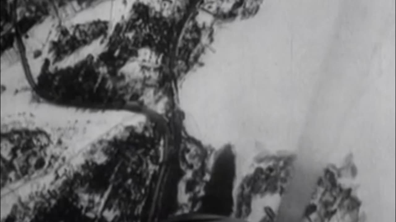 swedish_saab_b_5_dive_bombers_training_in_1942