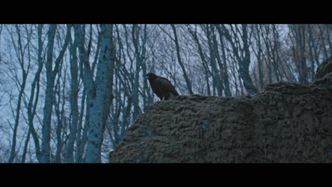 Next Time-Koga Padna Na Pirina