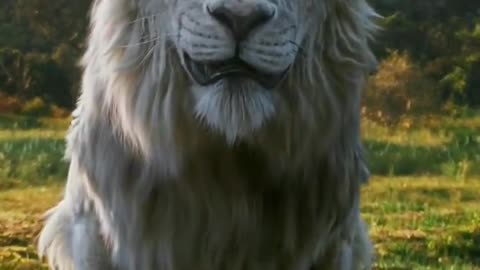 Mufasa 😍❤️ (Part - 48)....#reels #viralreels #reel #mufasa #animation #lastest #romantic #viralreel