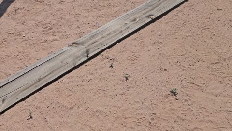 Recycled lumber for off-grid building