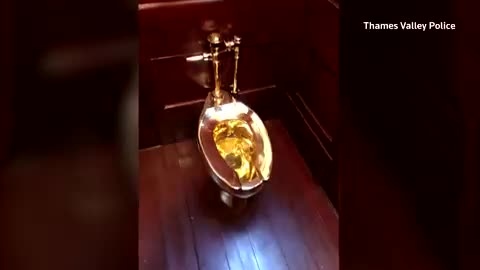 Man from Britain was found guilty of stealing an 18-carat gold toilet, an artwork known as ‘America,