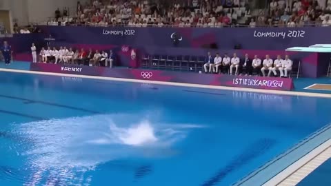 Which Animal Wins the Gold Medal? Animal Olympics.