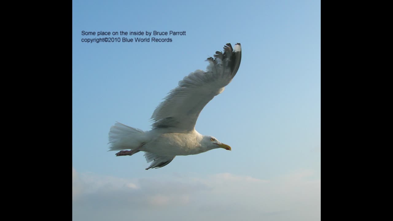 Bruce Parrott Someplace on the inside ©2019 Bruce Parrott Music