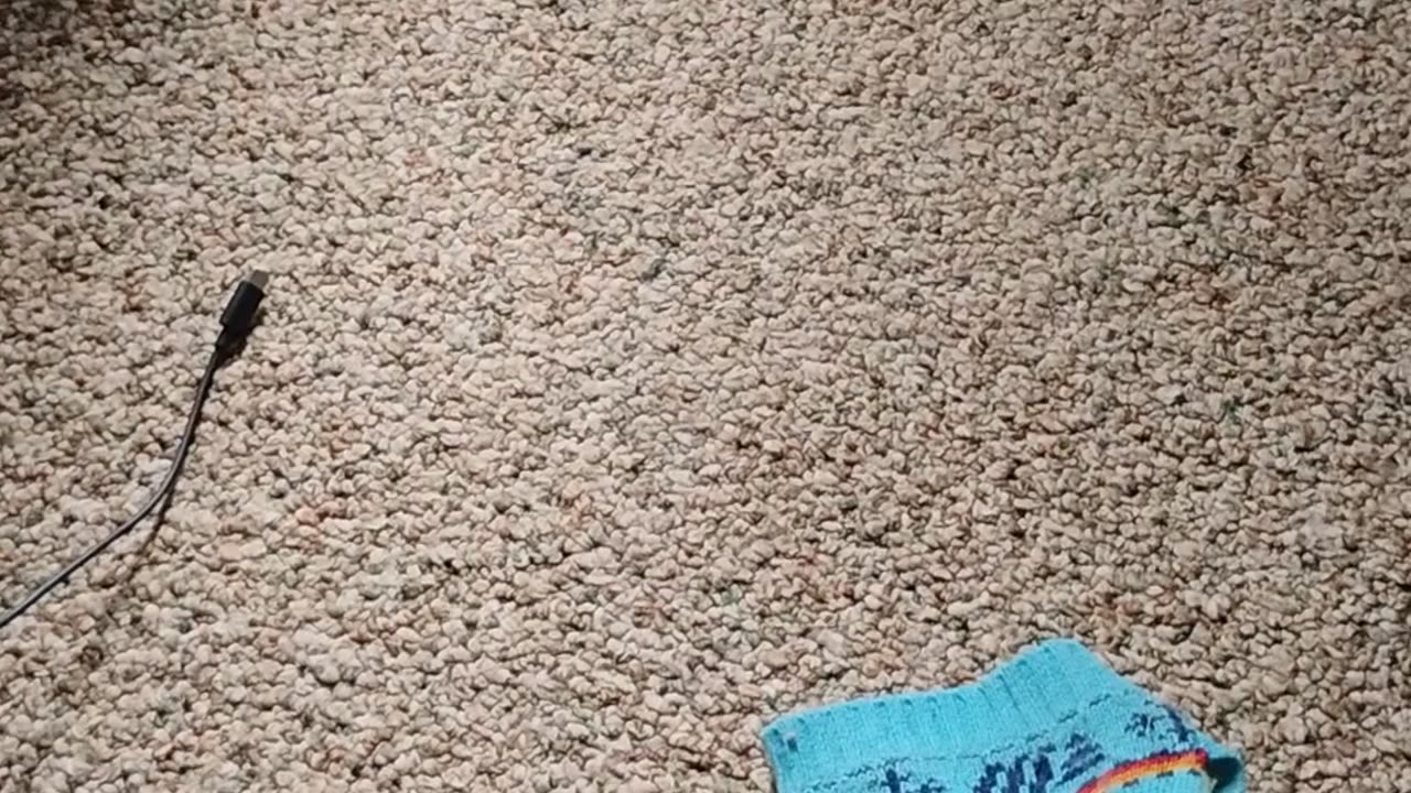 Jesus hates Easter it is a pagan holiday