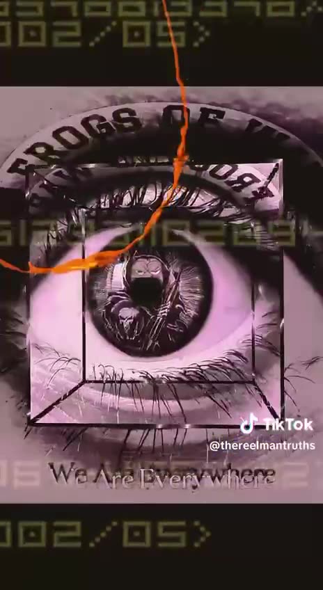 The Frogs of War - Operation Wake The World Up