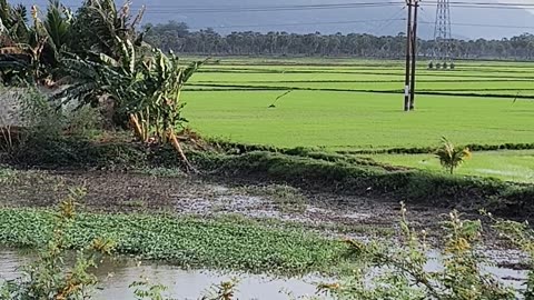 An Giang ... Peaceful River