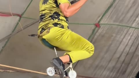 Circus performance video cycle 2025