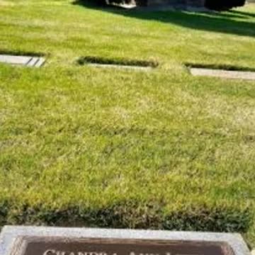 FAMOUS GRAVES - VOL. 123: CHANDRA LEVY