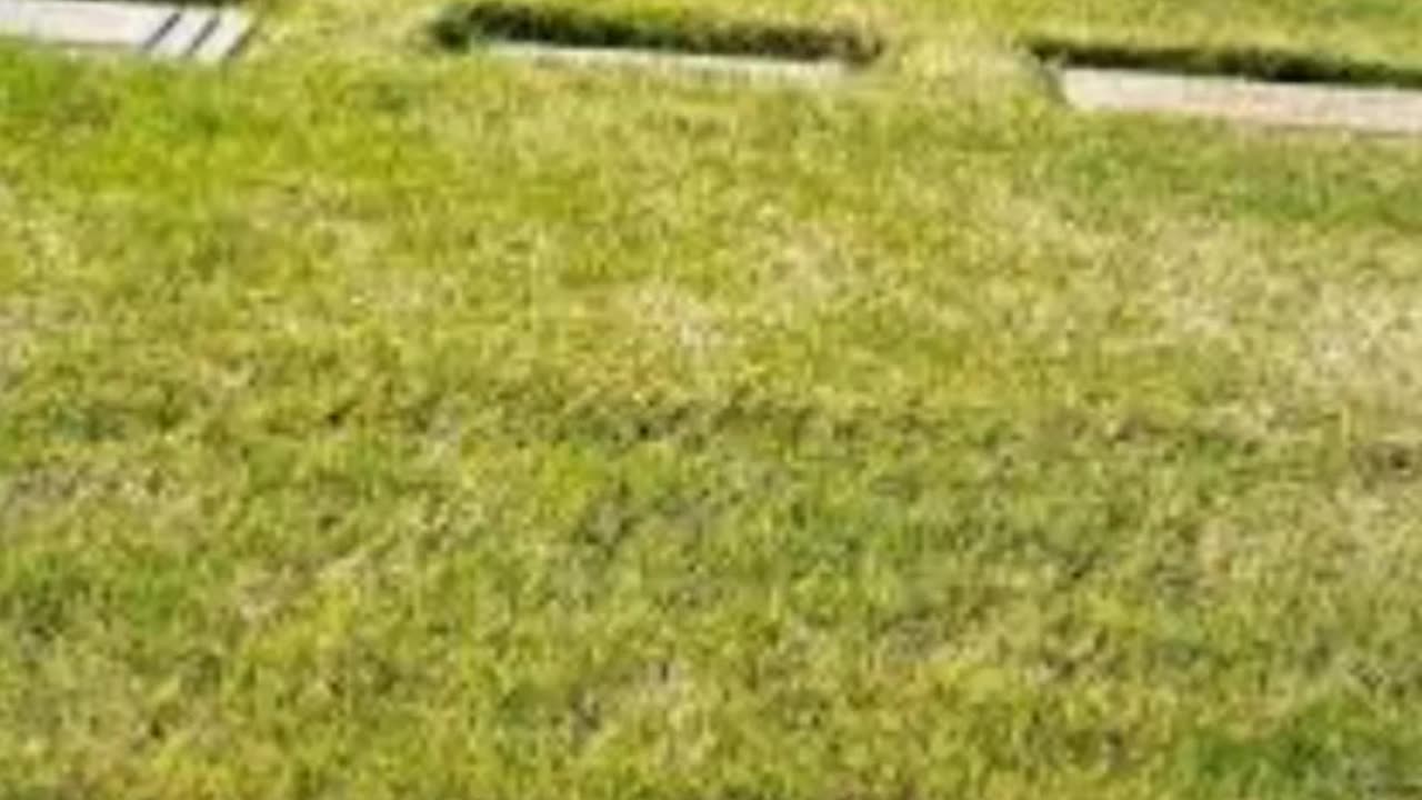 FAMOUS GRAVES - VOL. 123: CHANDRA LEVY