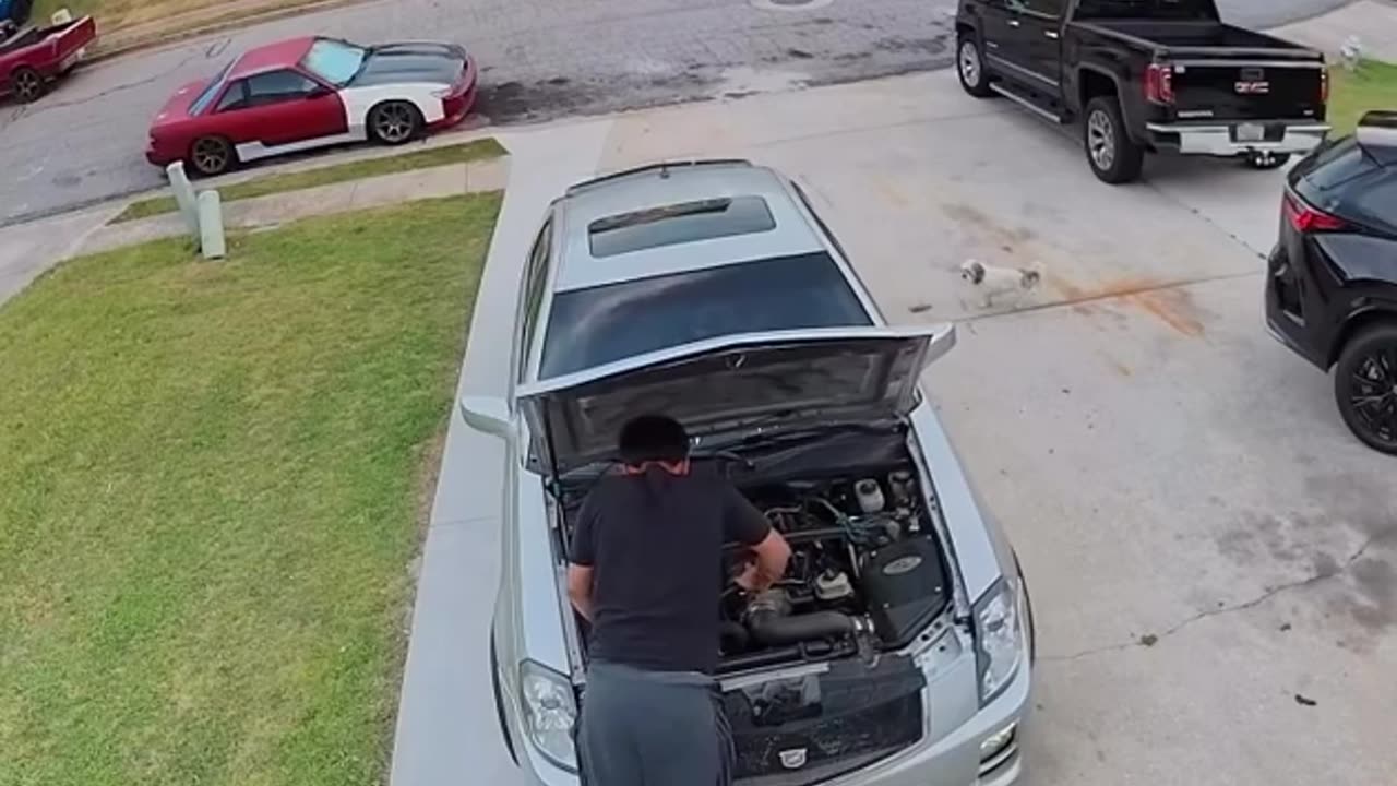 😂🐶 You Won't Believe This One-Wheel Fail with a Smart Dog! | FunFM