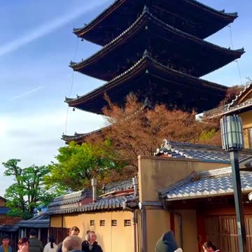 Gokudo #Japan #vlog #travel #tokyo #osaka #kyoto #Asia #gokudo893