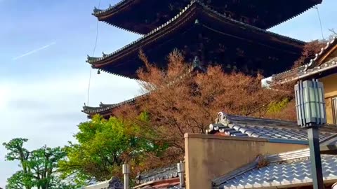 Gokudo #Japan #vlog #travel #tokyo #osaka #kyoto #Asia #gokudo893