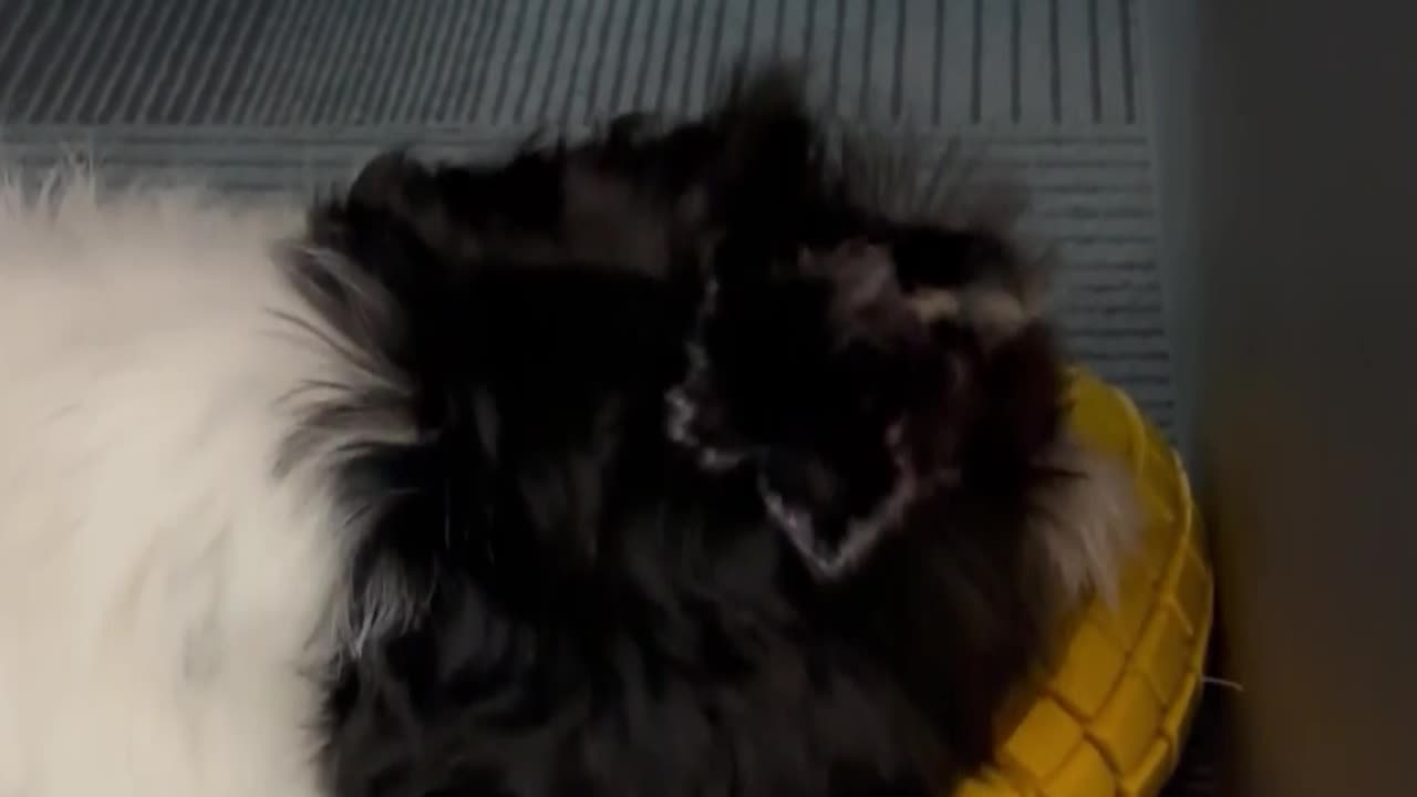 Chew smarter, not harder!