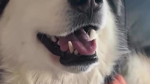 His favourite scene of the movie 😂