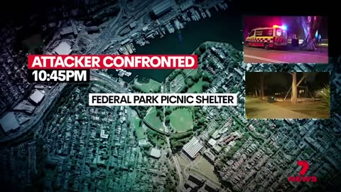 Bloody knife fight in Glebe park leaves six injured ｜ 7NEWS Australia