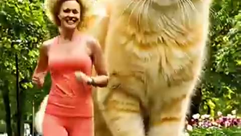 cute cat, dog running exercising with pretty lady🐈🐕