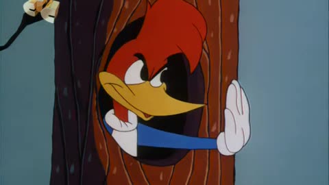 Woody Woodpecker and Friends - 1964x06 - Freeway Fracas