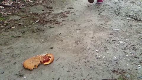 Vans Crush Bread