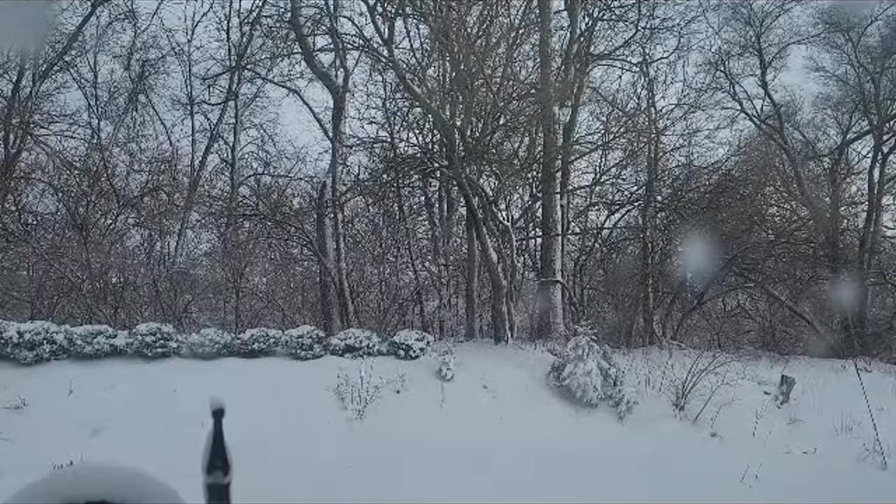 Snow Falling Again