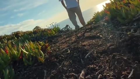 Cinematic video iPhone 11 Pro 12,13,14,15,16
