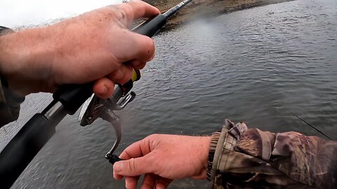 trout fishing