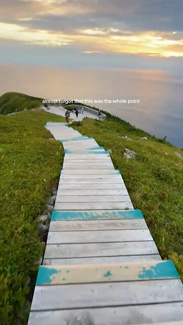 Almost forgot this was the whole point