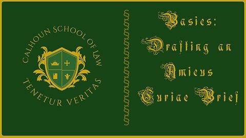 🟢 BASICS: Drafting an Amicus Curiae Brief - getting involved even when you're not involved 🟢