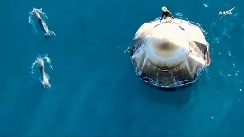 Dolphins welcome SpaceX Crew-9 Dragon spacecraft off coast of Florida after splashdown