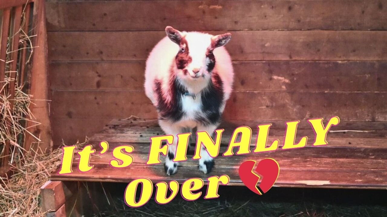 It's FINALLY Over And SAYING Goodbye