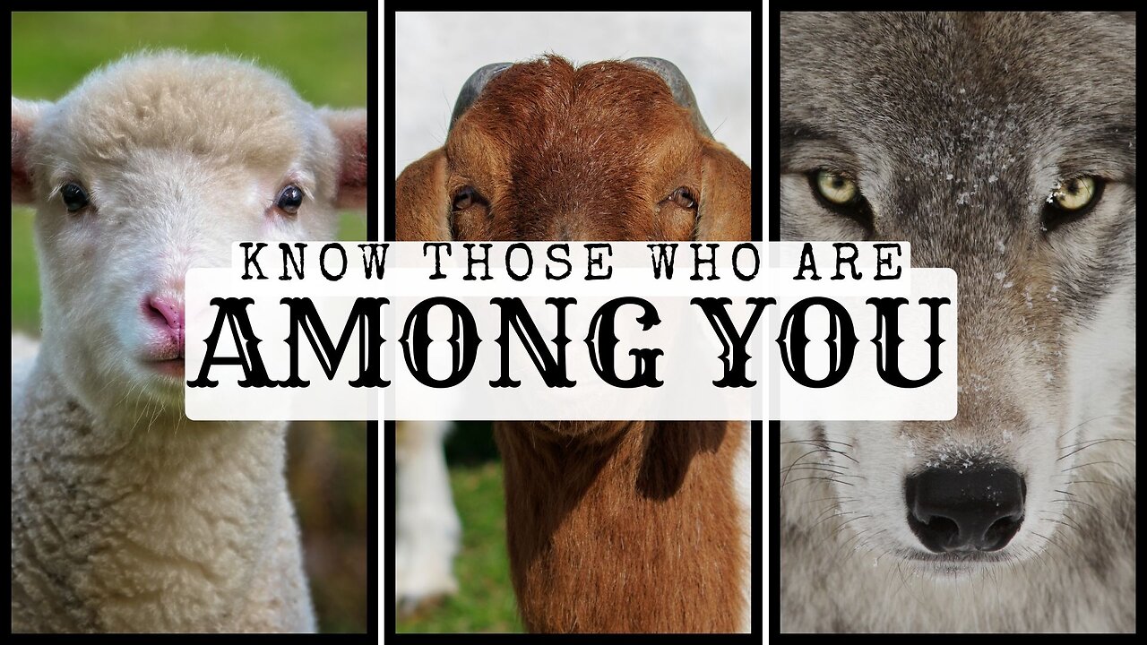 Know Those Who Are Among You pt1 - March 30th, 2025