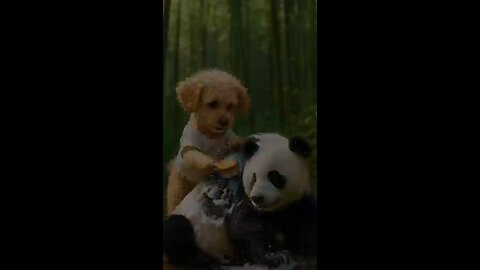 Dog Saves Panda in Heartwarming Rescue!