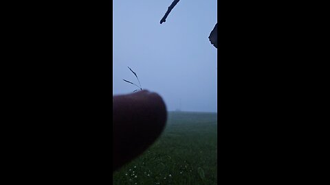Just having fun