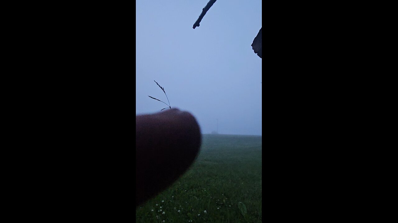 Just having fun