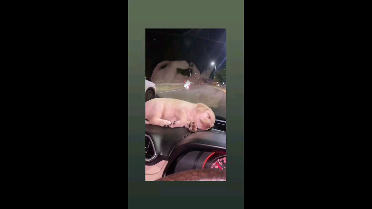 दिल है छोटा सा