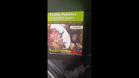 seeds pop yet?