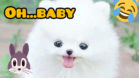 Cute baby pets 💓