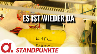 Es ist wieder da | Von Felix Feistel