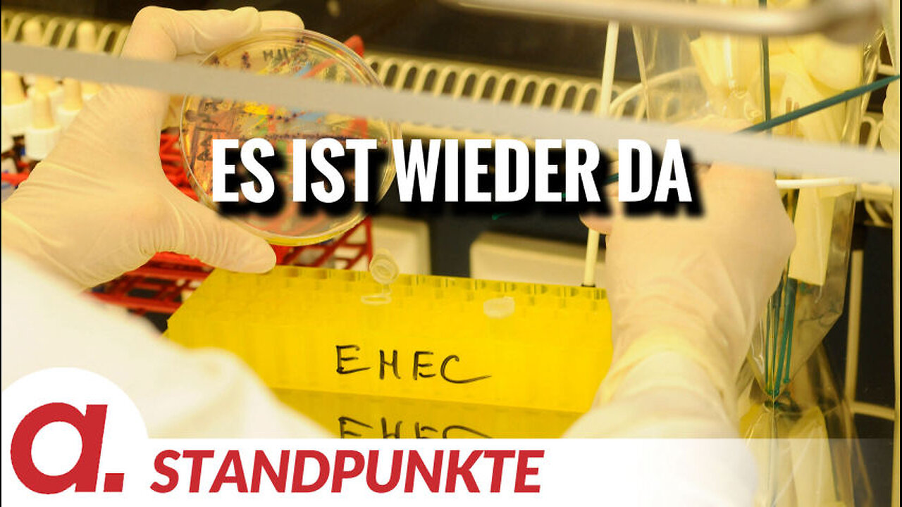 Es ist wieder da | Von Felix Feistel